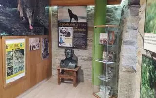 Villardeciervos inaugura nueva exposición sobre el lobo ibérico