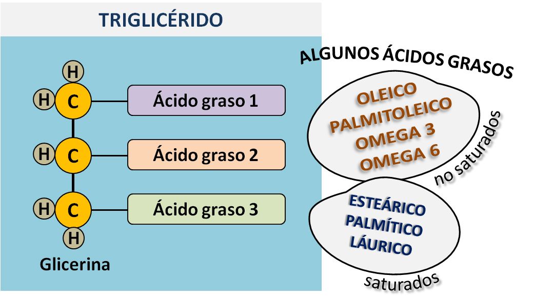 El funcionamiento de una lámpara de aceite y su sustituto moderno -  Desenfunda