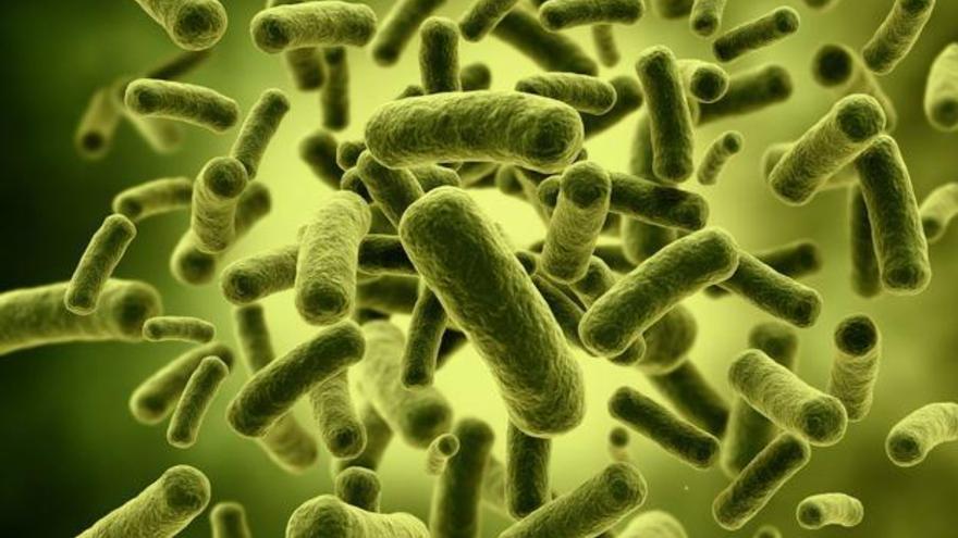 ¿Qué es la bacteria klebsiella?: cómo se contagia y 5 claves