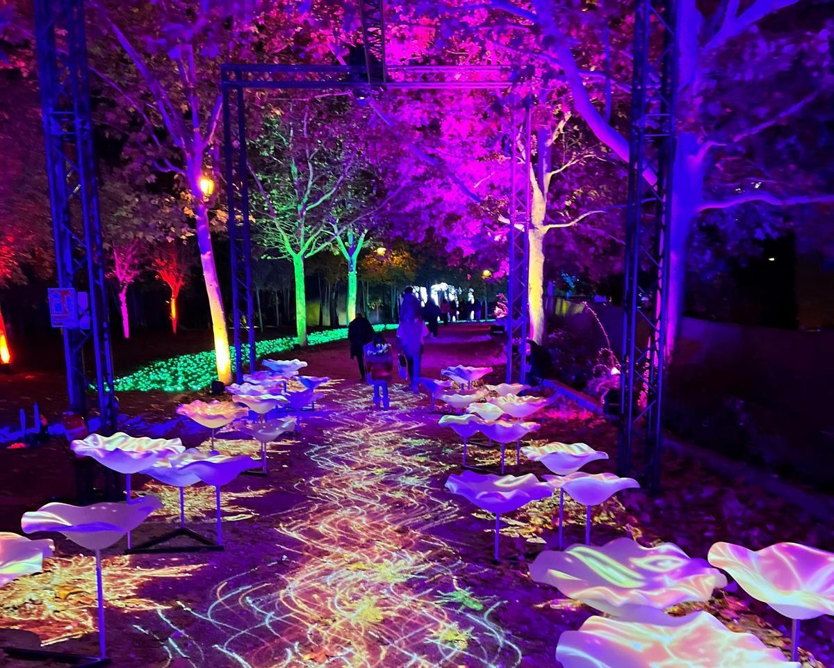 Archivo - El espectáculo 'Naturaleza Encendida' en una imagen de archivo.