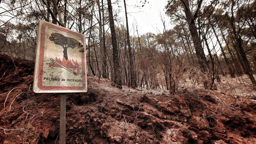 El incendio de Tenerife se adentra en el Parque Nacional del Teide