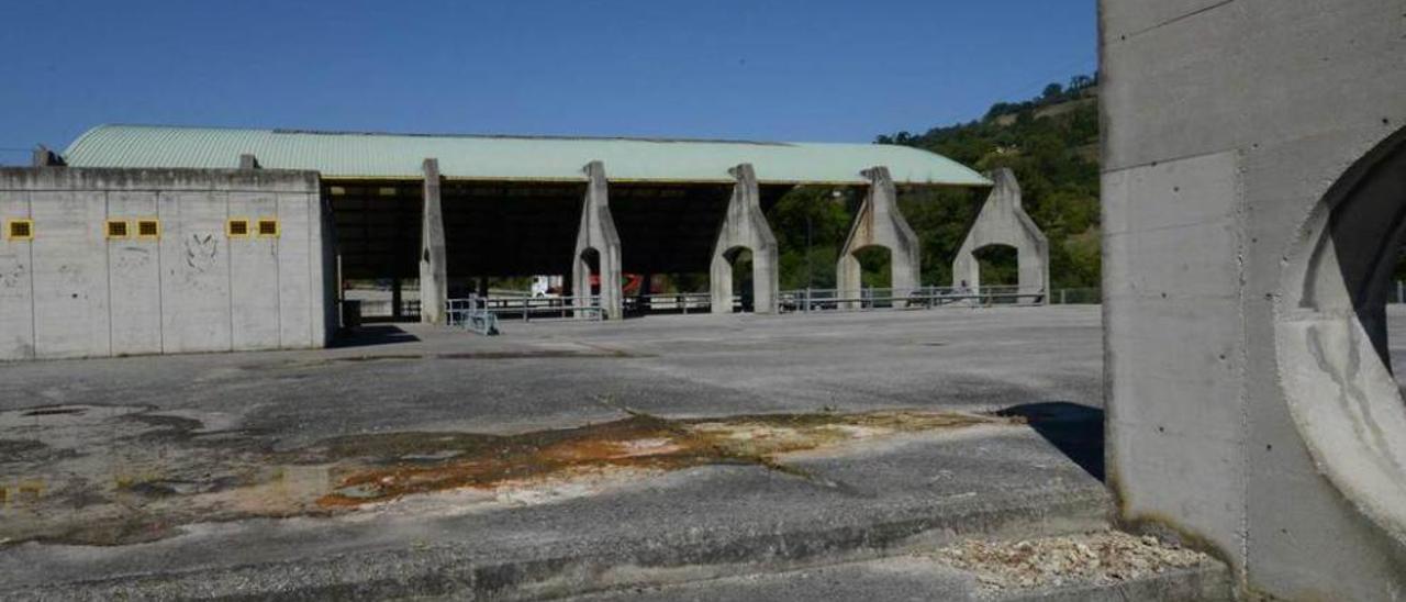 El mercado de ganado de El Masgaín, en Pola de Lena.