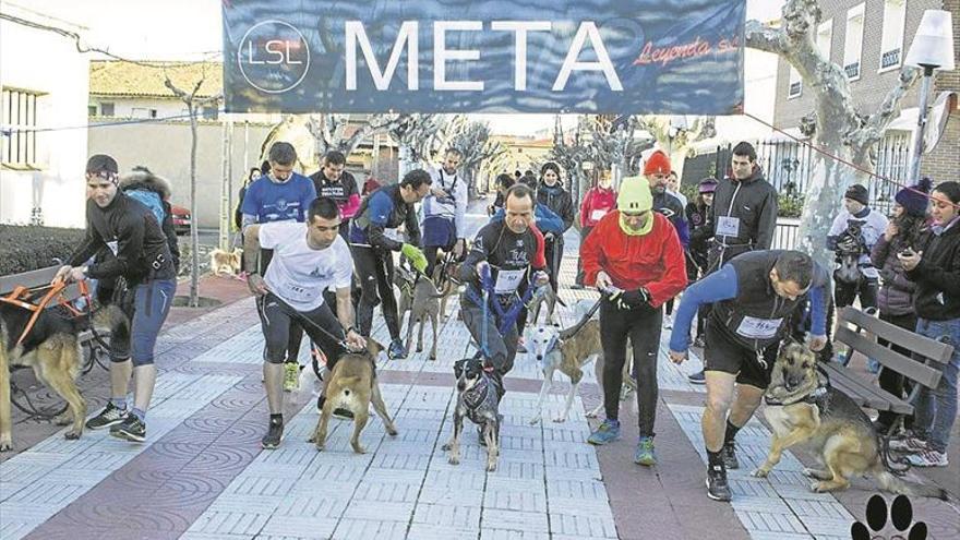 Patitas Unidas sigue creciendo con nuevos proyectos locales