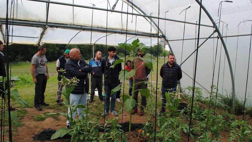 Curso de agricultura ecológica en Iñás