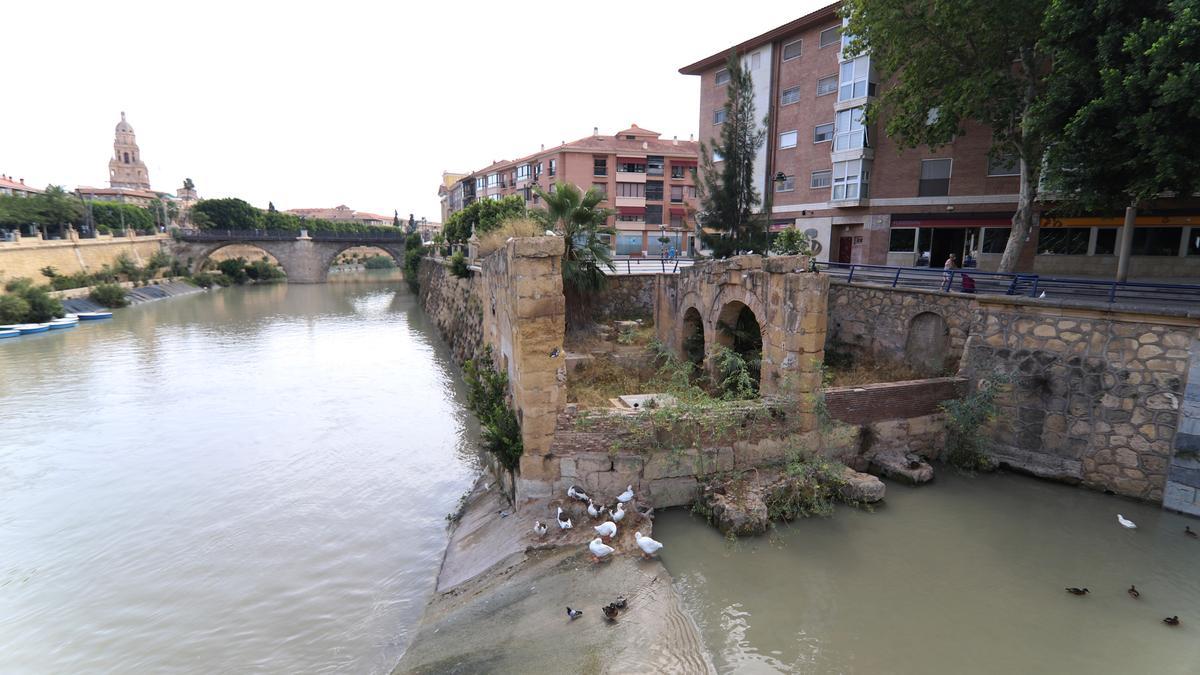 El Molino en ruinas, útil antaño, solo sirve ahora para los patos y la vegetación salvaje que crece en él.