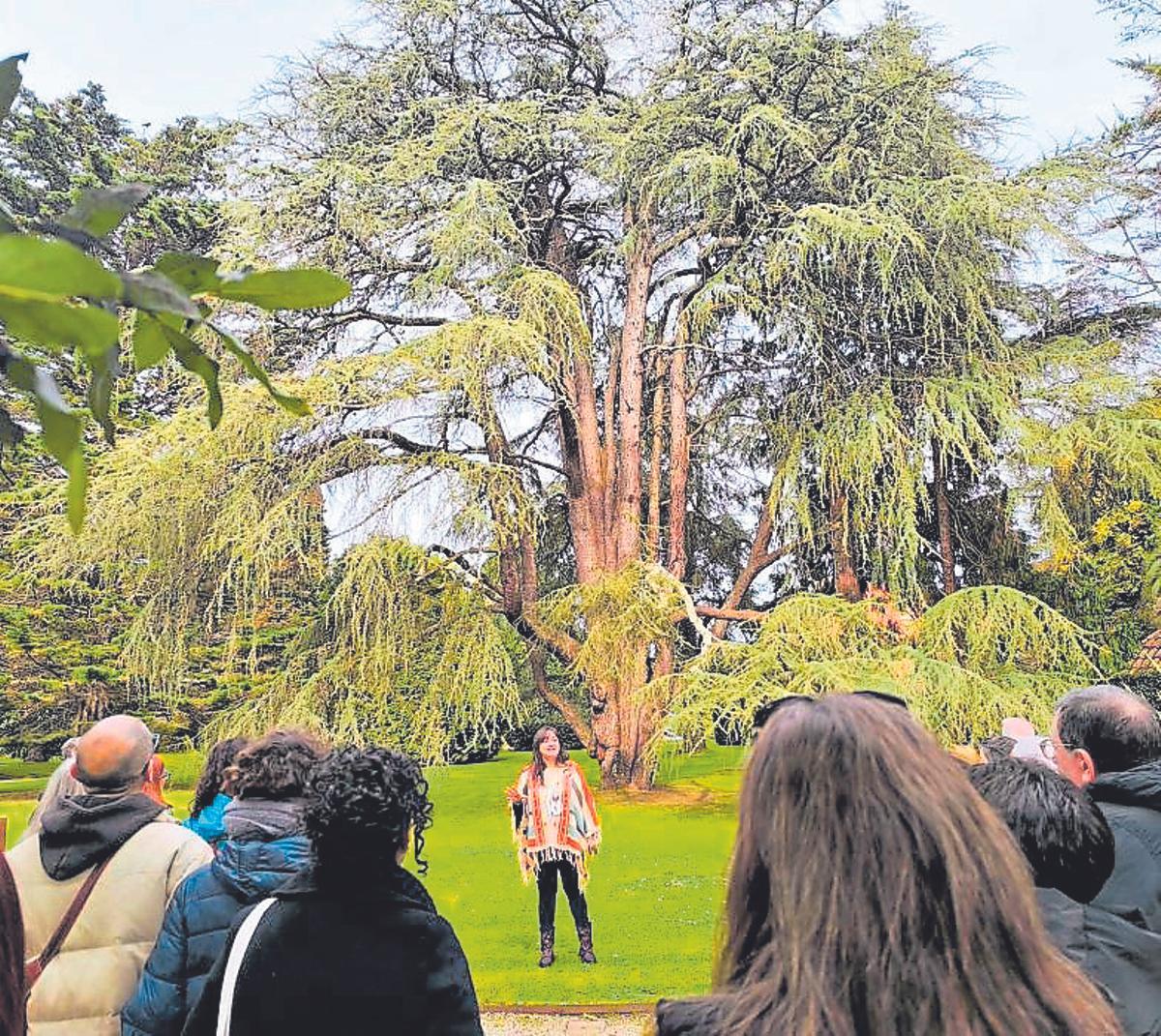 El Evaristo Valle, edén de arte en el jardín de Somió
