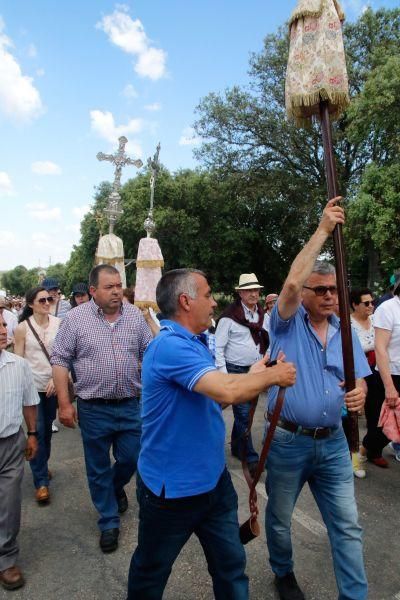 Romería de la Virgen del Castillo en Fariza