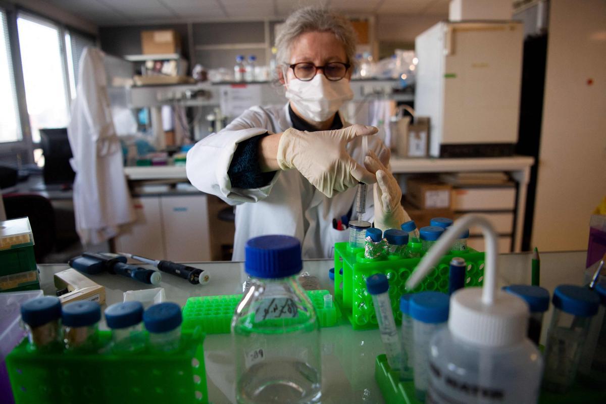 Una investigadora de la Universidad de Nantes trabajando para la vacuna del covid-19. Una investigadora de la Universidad de Nantes trabajando para la vacuna del covid-19.