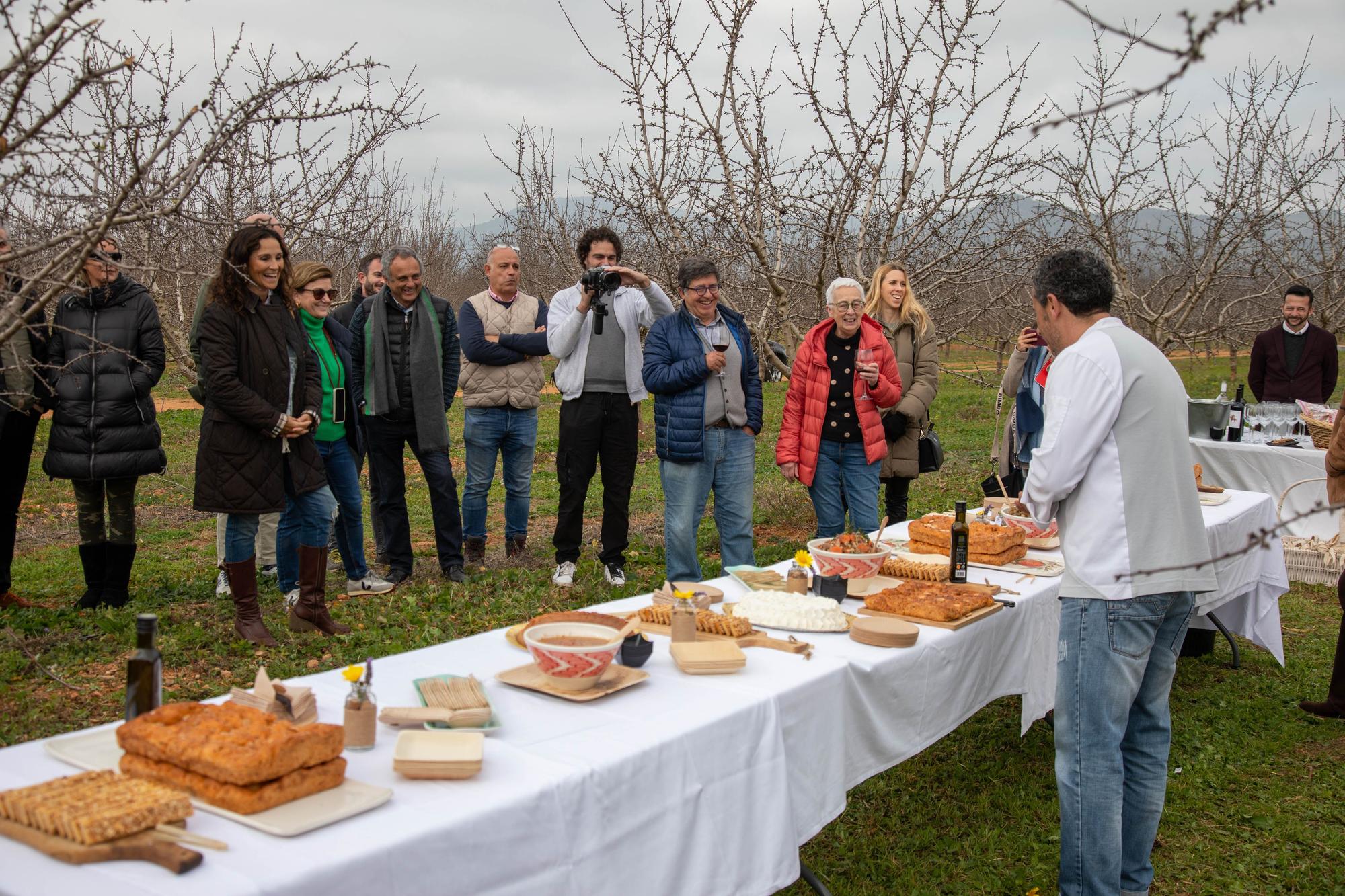 as cooperativas agroalimentarias impulsan una experiencia que aúna agricultura y turismo en una finca de almendros