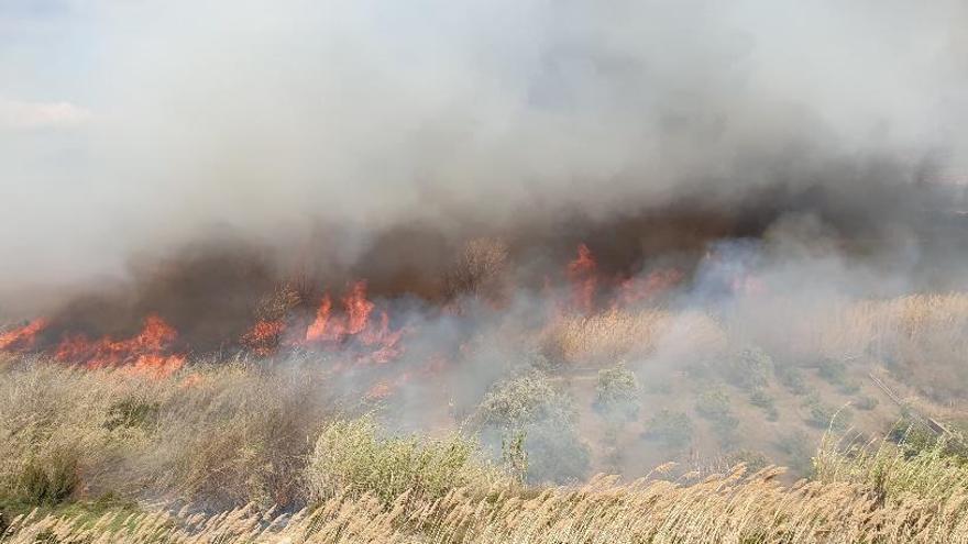 Estabilizado el incendio en Riba-roja que ha obligado a evacuar a 1.300 estudiantes