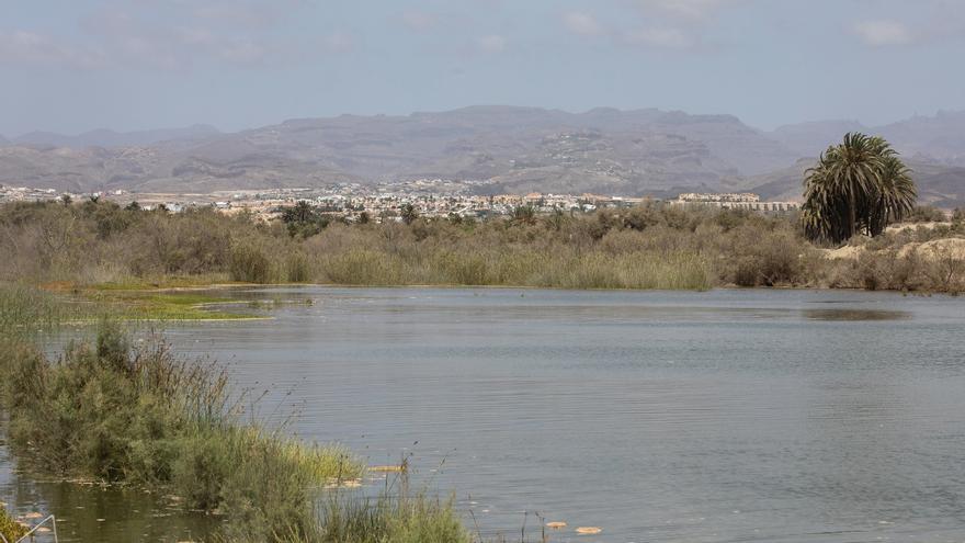 &#039;Natalie&#039; llega a proteger a Gran Canaria frente al cambio climático