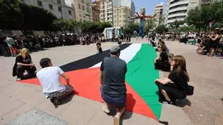 Más de 100 entidades de Castellón urgen «parar el genocidio en Palestina»