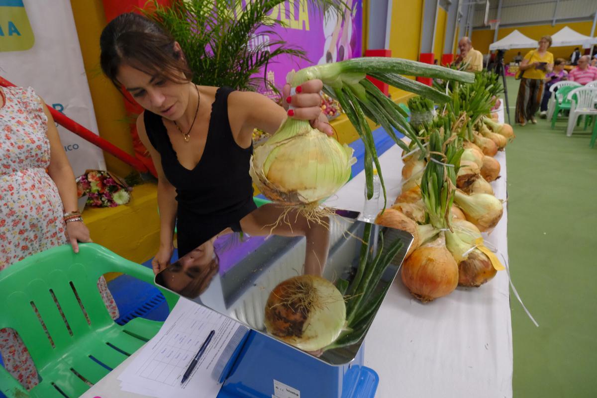 Fiesta de la Cebolla, en Piso Firme