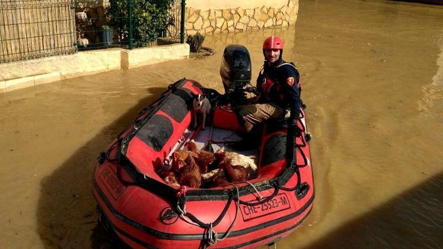 La Ribera Baja sufre las primeras afecciones de la crecida del Ebro