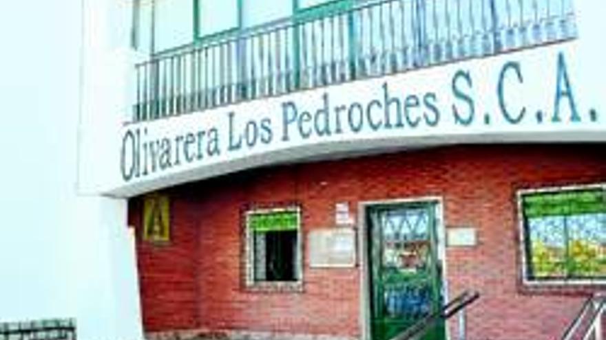 La olivarera Los Pedroches organiza a final de octubre sus XIII jornadas técnicas