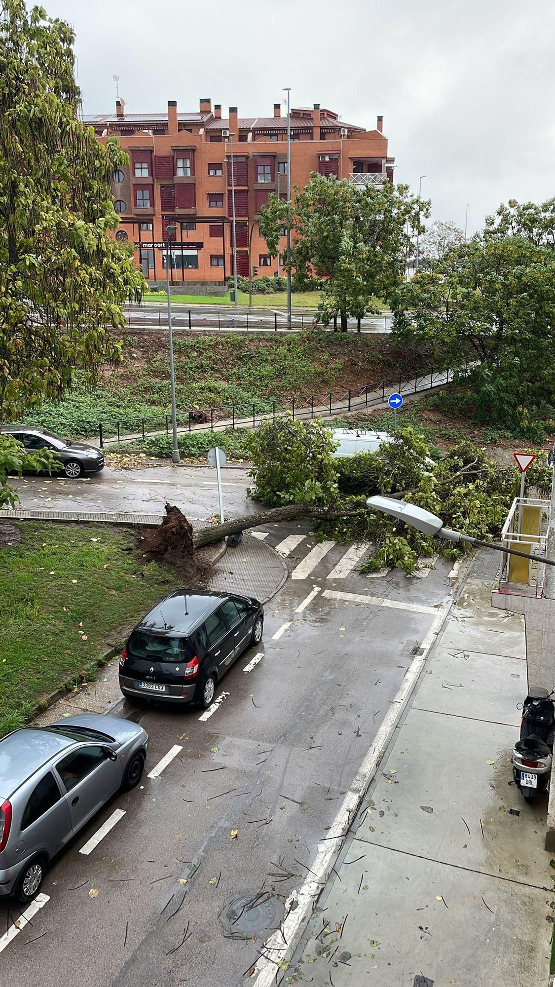 Fotogalería | Así afecta el temporal de lluvia y viento en Cáceres