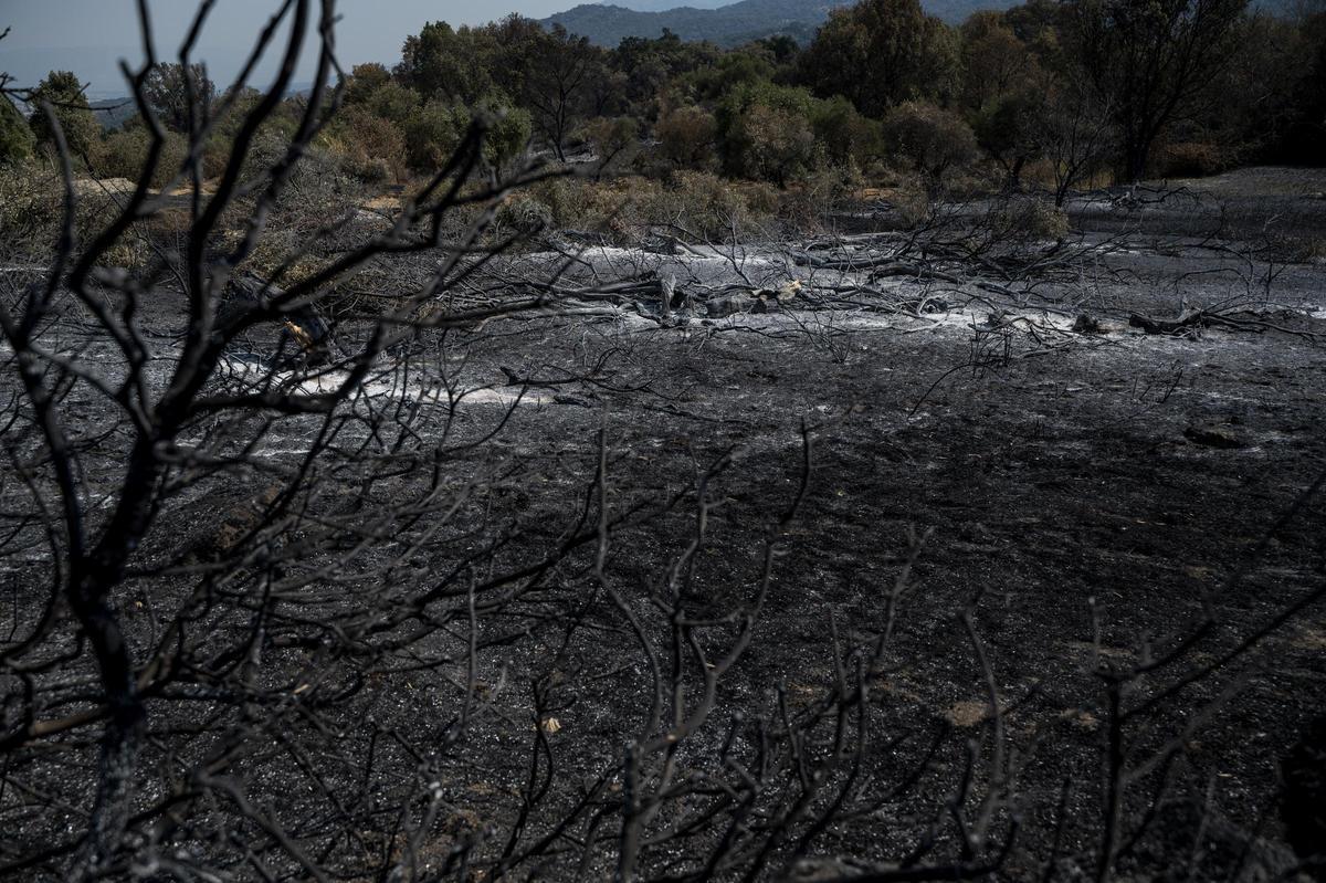 Las imágenes | Diez días de incendio en Jarilla: el adiós al paraíso verde Las imágenes | Diez días de incendio en Jarilla: el adiós al paraíso verde