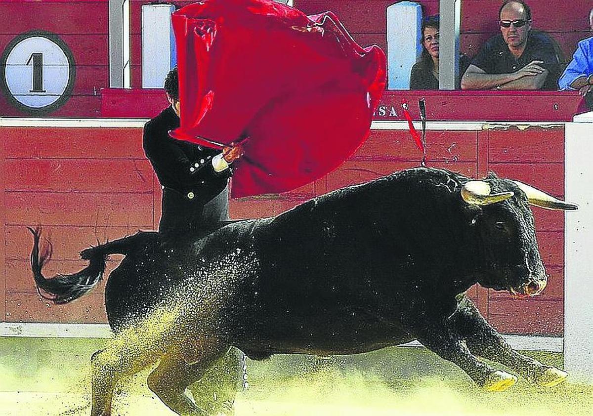 El maltrato animal es rentable