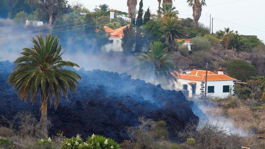 Se espera que la colada de lava llegue a la costa a última hora de la tarde