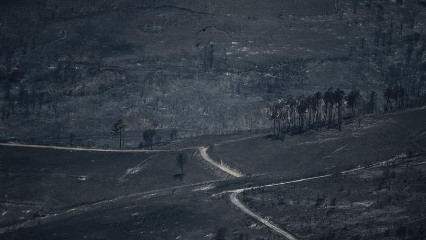 Las causas de fondo de los fuegos actuales