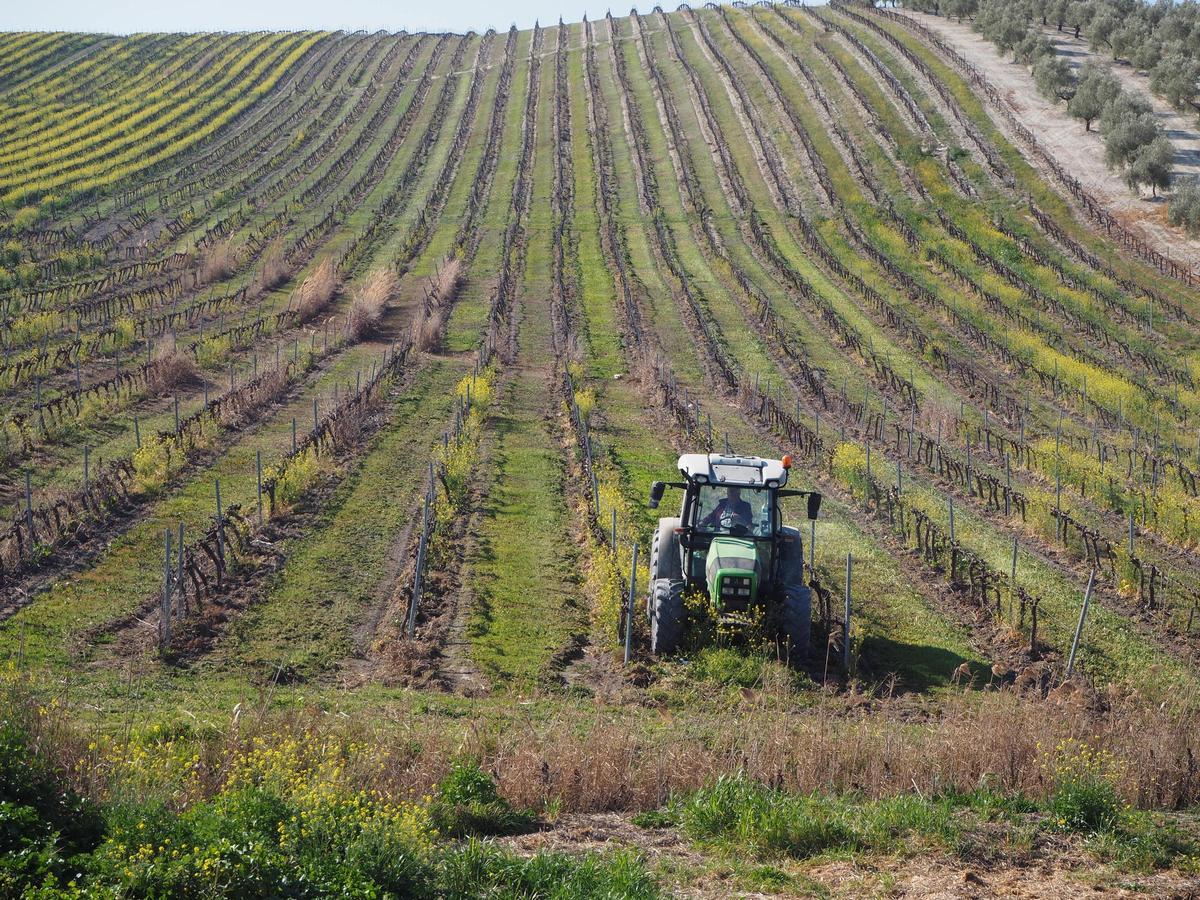 En Córdoba se beneficiarán 11.562 agricultores.
