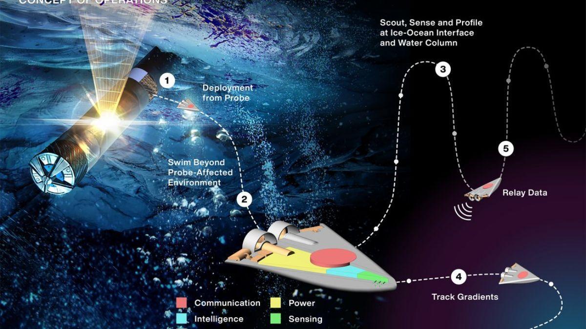 En el concepto de detección con micronadadores independientes (SWIM), que se ilustra aquí, docenas de pequeños robots descenderían a través de la capa helada de una luna distante a través de un criobot, que se muestra a la izquierda, hasta el océano. El proyecto ha recibido financiación del programa Conceptos Avanzados e Innovadores de la NASA.