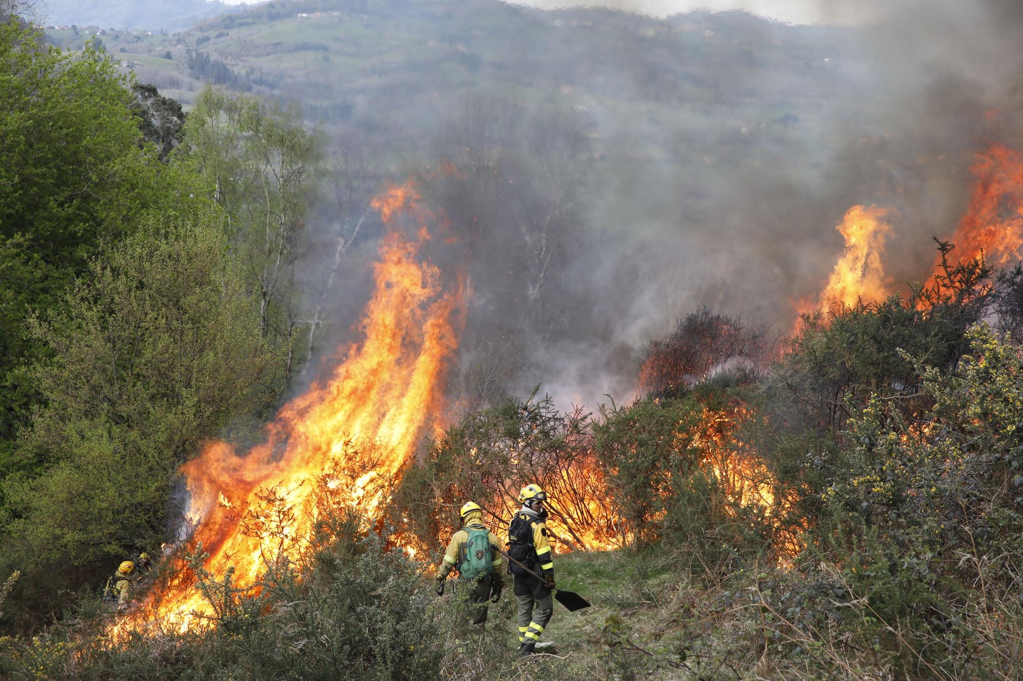 La lucha contra el fuego en el incendio entre Nava y Piloña