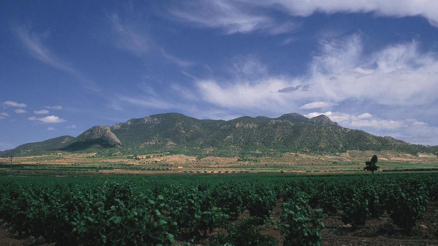 Vista de la Sierra de El Carche en Jumilla.