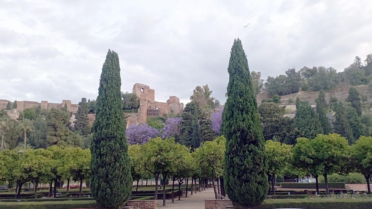 Los Jardines de Puerta Oscura, con jacarandas en flor, esta semana.