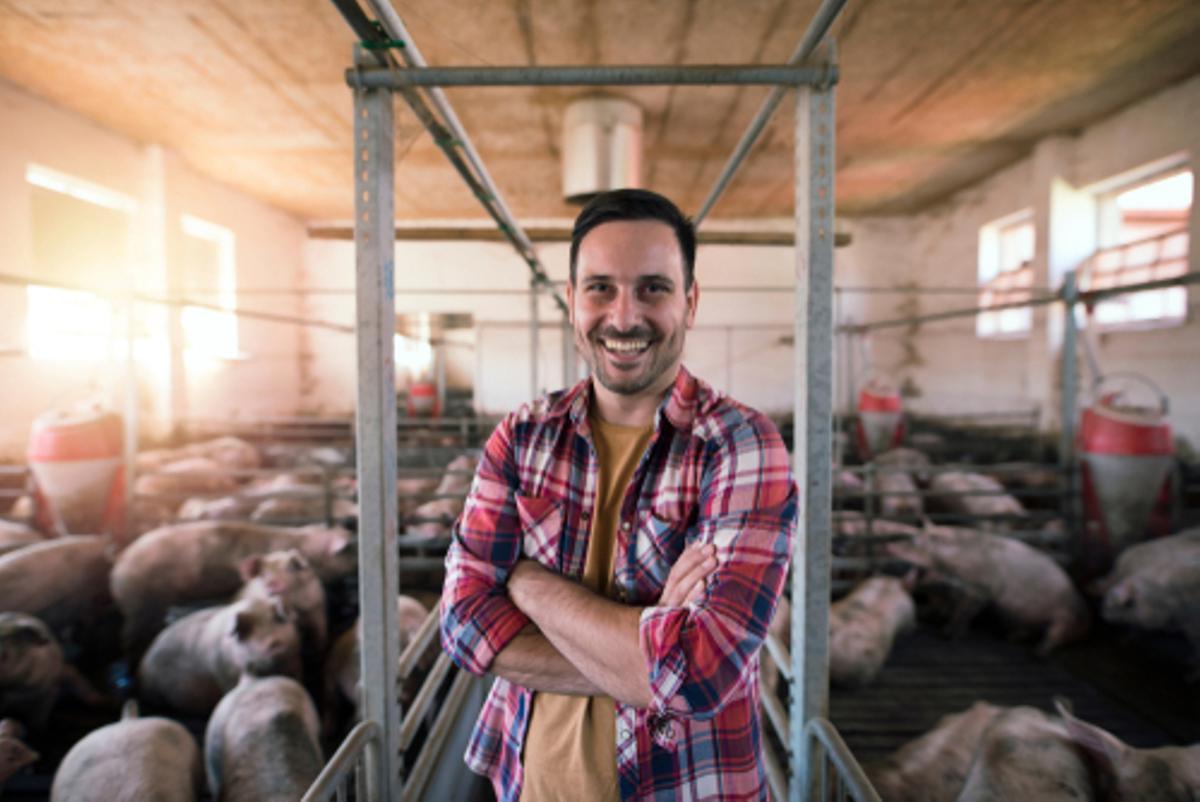 Empleo en el sector porcino de Aragón.