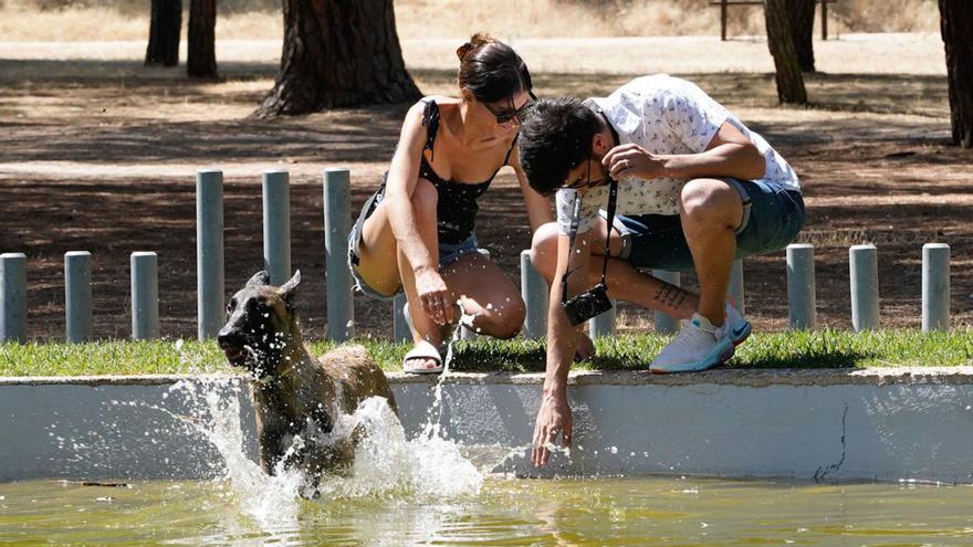 La temperatura anual media de Zamora ha aumentado 1,5 grados desde 1980