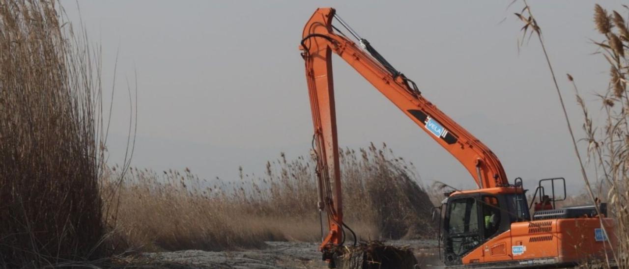 Una retroexcavadora retira 
maleza en una zona del 
humedal.  levante-emv