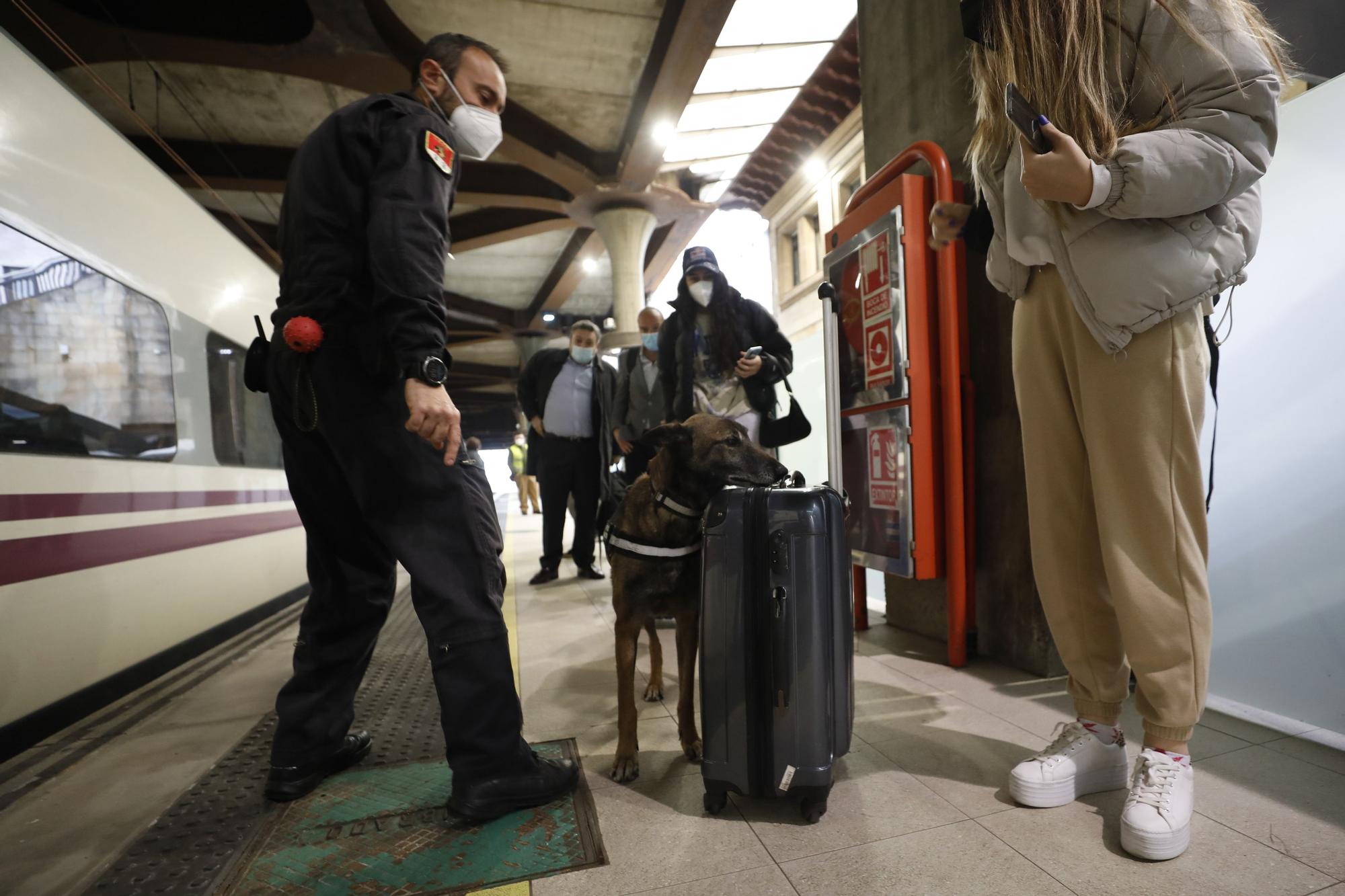 Controles policiales en la estación de Oviedo como antesala a la Semana Santa