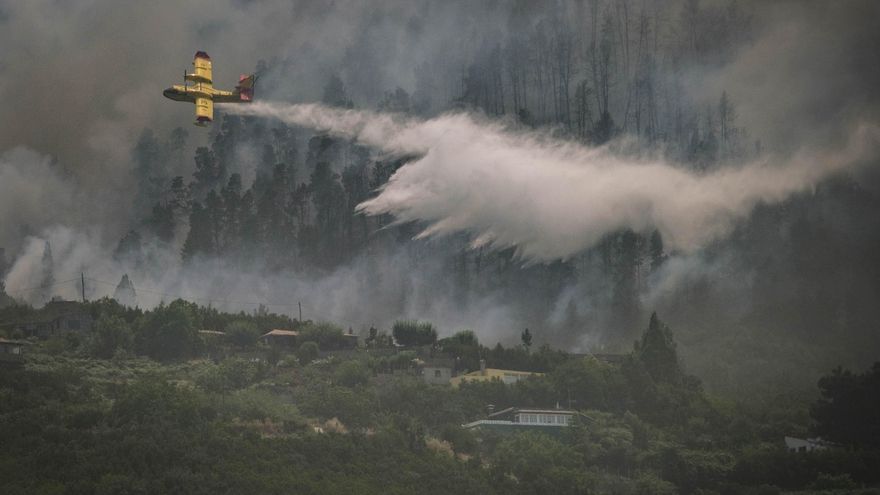 The Tenerife fire already affects more than 2,400 hectares