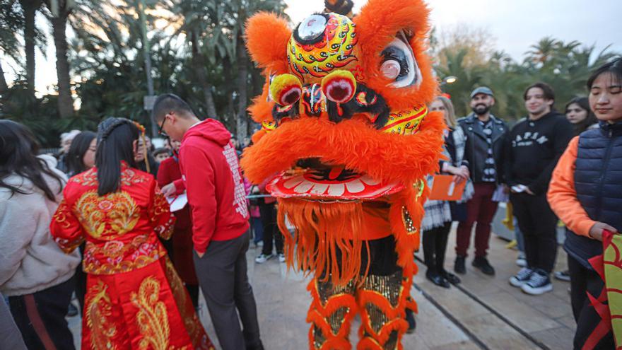 El Año del Dragón llega a Elche este domingo