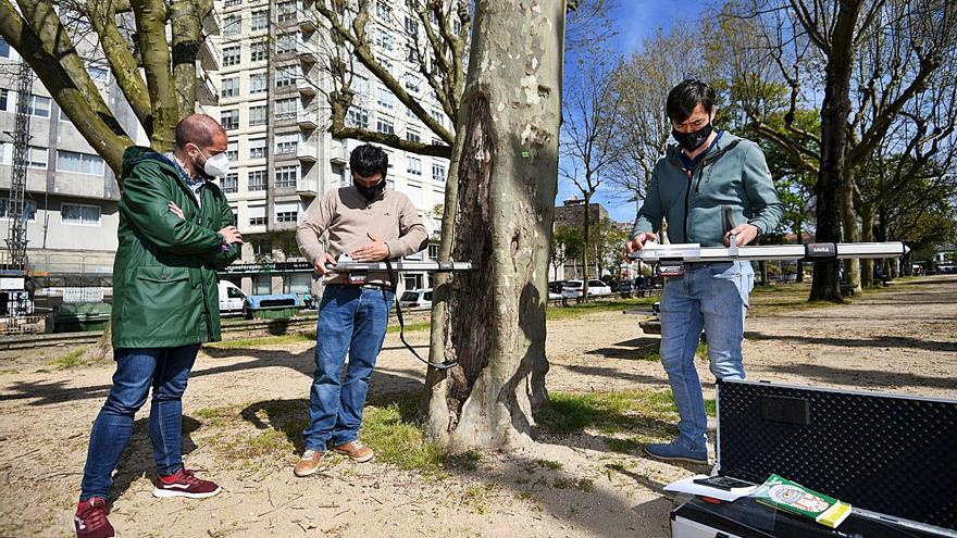 Los expertos realizan pruebas en un árbol en presencia del concejal Iván Puentes. |   // G. SANTOS