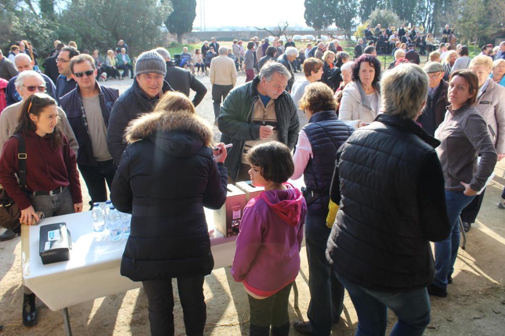 Pletòric Aplec de Sant pau de la Calçada