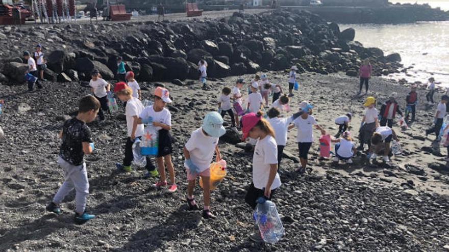 Los menores limpian la playa del Alcalde, en el entorno central del litoral del casco urbano de Candelaria.