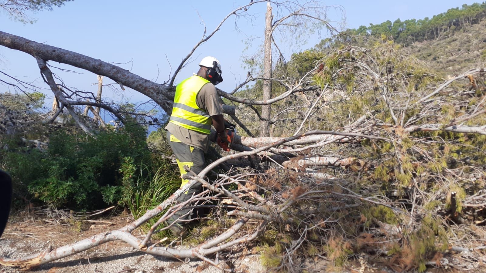 Francina Armengol visita la ‘zona cero’ de la catástrofe ambiental en Banyalbufar