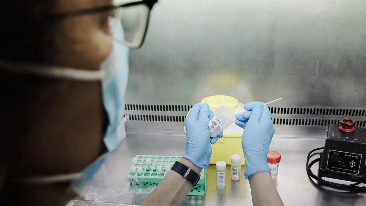 Una técnico de laboratorio sostiene una de las pruebas de análisis para la viruela del mono.