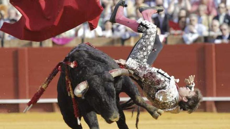 &#039;El Juli&#039;, herido por el primer toro en La Maestranza