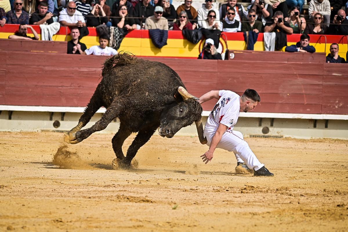 Galería de imágenes: Los maestros de la calle toman la plaza de Castelló