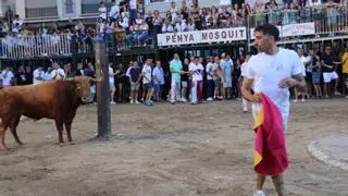 Burriana cierra la semana taurina de Misericòrdia con 19 toros de gran nivel