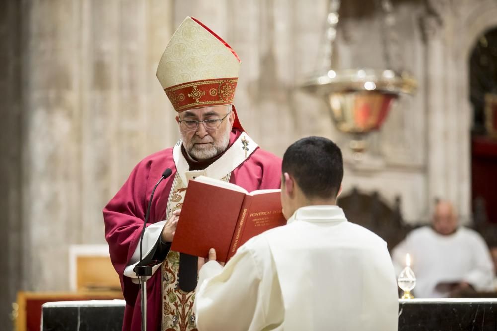 Ordenación de nuevos sacerdotes en la Catedral