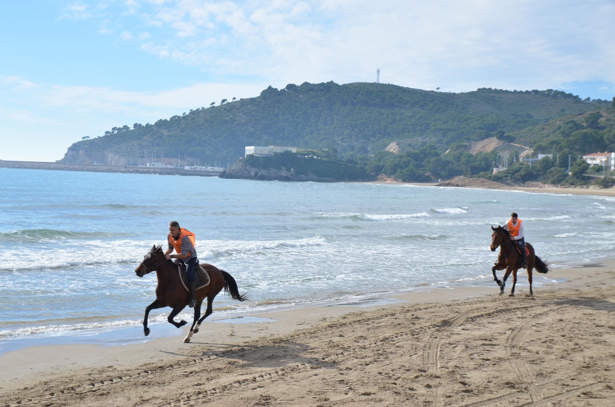 Las imágenes más vistosas de la carrera de caballos y burros de Orpesa