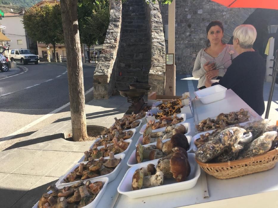 29a edició de la Fira del Bolet i el Boletaire de