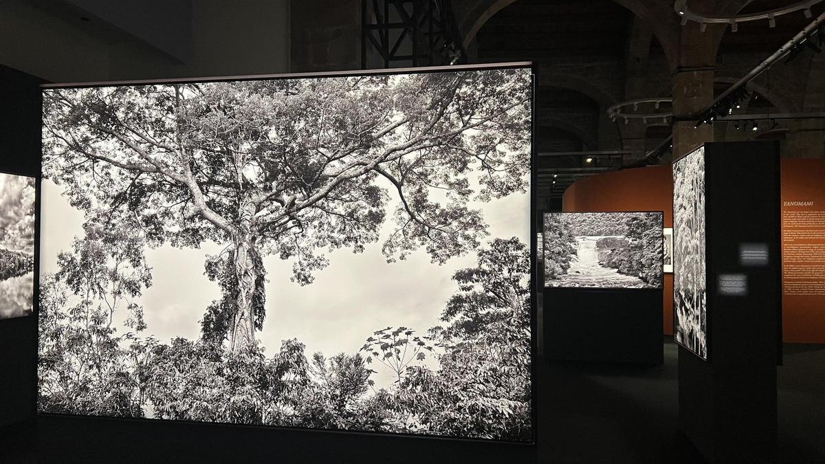Exposición fotográfica Amazônia, de Sebastião Salgado, en Barcelona
