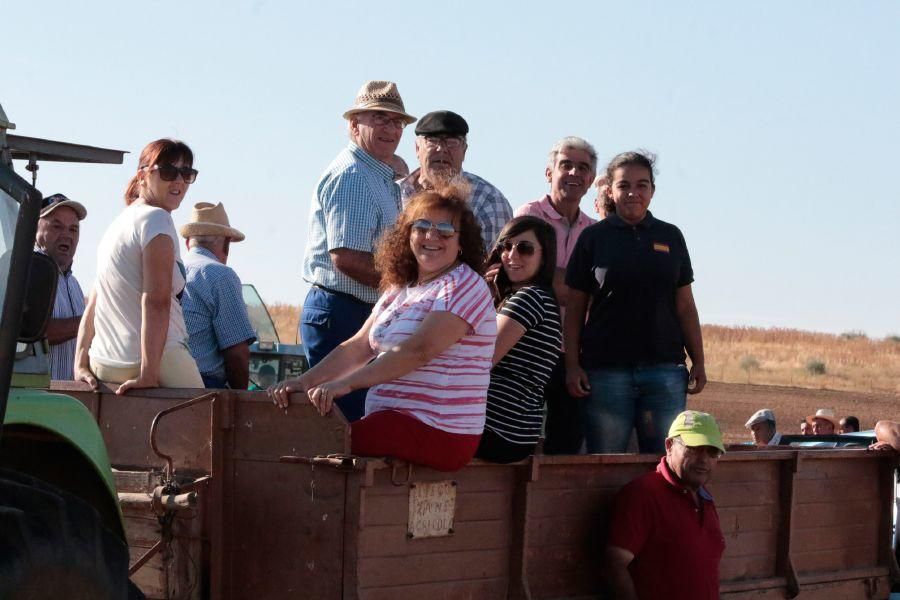 Fiestas en Zamora: Encierro en El Pego