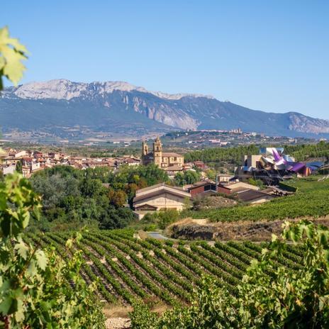 Marqués de Riscal, la mejor bodega de España que se aloja en un edificio de Frank Gehry