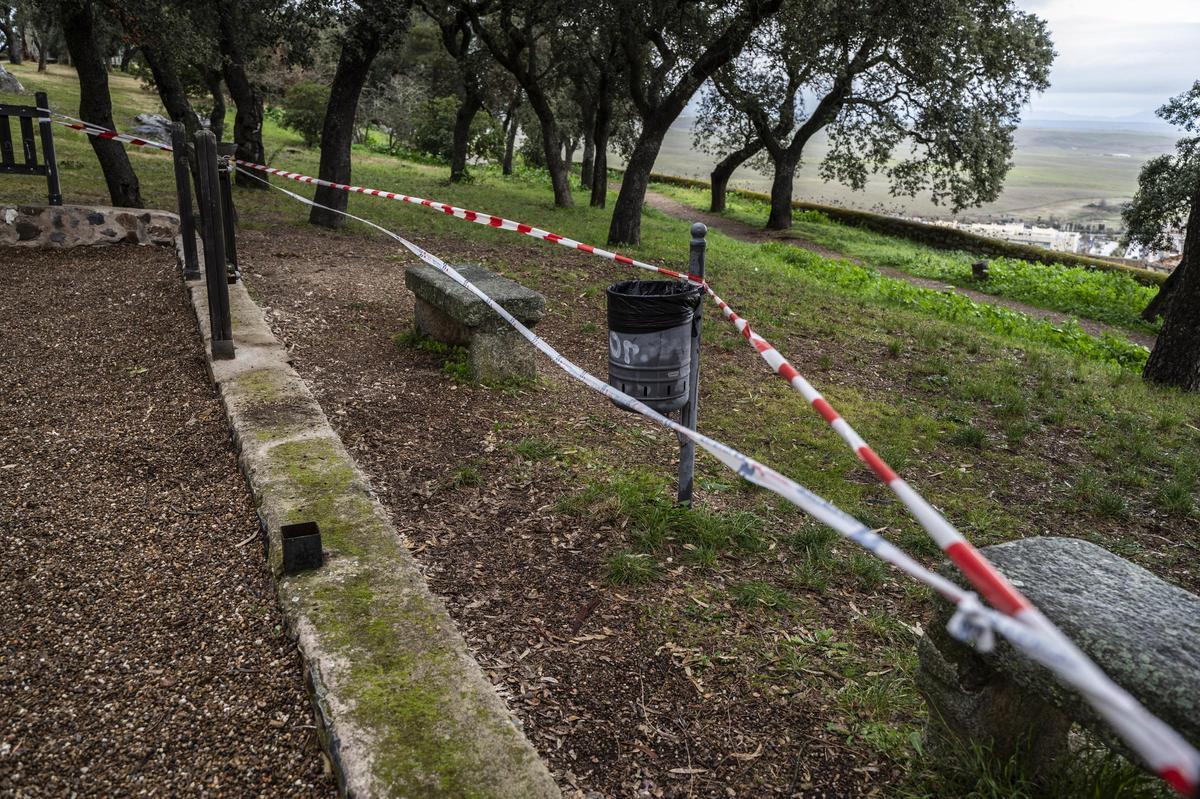 Galería | Vandalismo en el Paseo Alto de Cáceres
